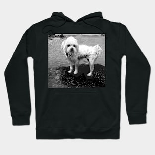 Help? Hoodie